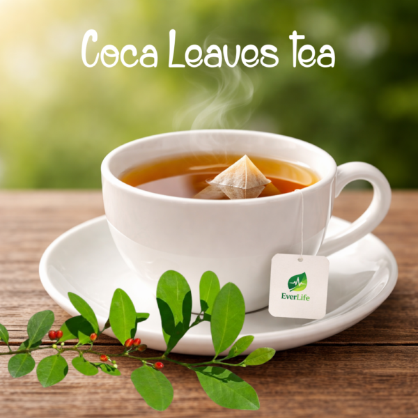 Premium Coca Tea Bags (20 Count) | Organic Quality Coca Tea